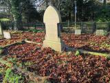 image of grave number 283448